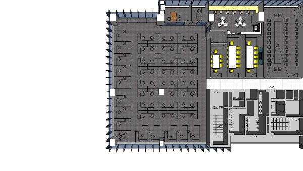辦公室的富貴竹養(yǎng)殖方法和注意事項-3招讓你的財富竹日漸升長