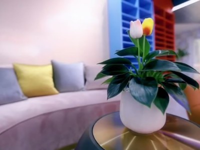 西麗辦公室員工裝修-綠植租賃案例 辦公室裝修綠植租賃