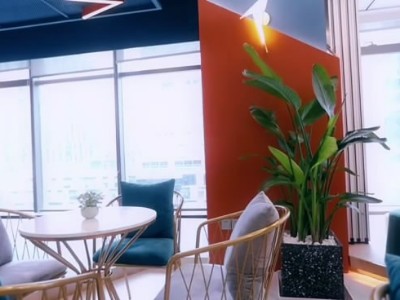 西麗辦公室員工裝修-綠植租賃案例 辦公室裝修綠植租賃