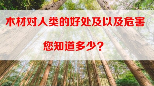 深圳裝修公司之木材對(duì)人類的好處以及危害您知道多少？